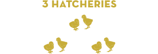 3 Hatcheries