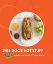 Hot Dog Poster 20 x 24 in